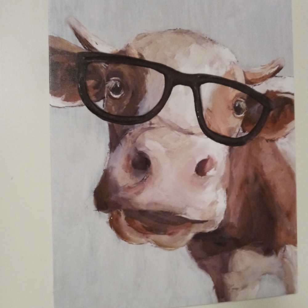 Cow picture